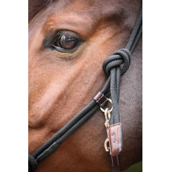 Licol Pénélope Éthologique Havane / noir Marron Licol Pénélope Éthologique Havane / noir Marron