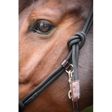 Licol Pénélope Éthologique Havane / noir Marron Licol Pénélope Éthologique Havane / noir Marron