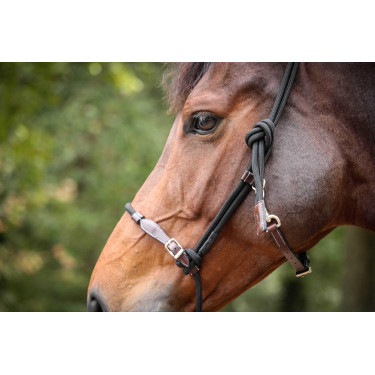 Licol Pénélope Éthologique Havane / noir Marron Licol Pénélope Éthologique Havane / noir Marron