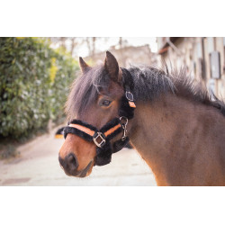 Licol Pénélope Soft Noir