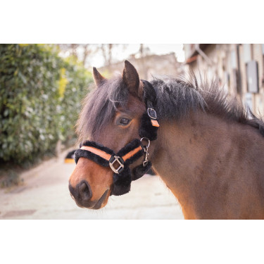 Licol Pénélope Soft Noir