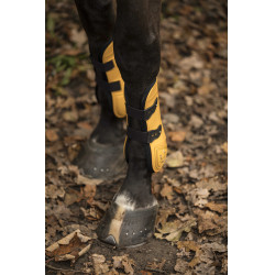 Ensemble guêtres et protège-boulets Lami-Cell LC Miel / doré Jaune