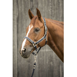 Licol Lami-Cell Elegance Marine / champagne Bleu