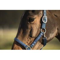 Licol Lami-Cell LC Bleu atoll Licol Lami-Cell LC Bleu atoll