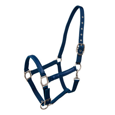 Licol Lami-Cell LC Bleu atoll