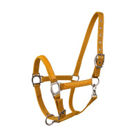 Licol Lami-Cell LC Miel / doré Jaune