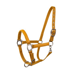 Licol Lami-Cell LC Miel / doré Jaune