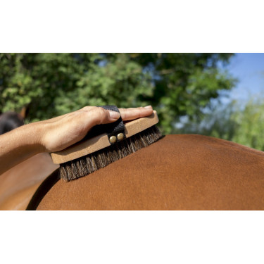 Brosse extra-douce Hippo-Tonic Brosse extra-douce Hippo-Tonic