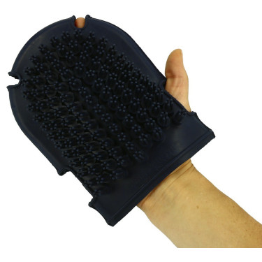 Gant étrille + brosse Gant étrille + brosse
