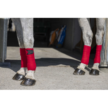 Bandes de polo Riding World Eco Rouge Bandes de polo Riding World Eco Rouge