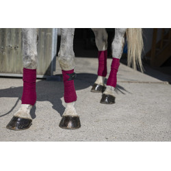 Bandes de polo Riding World Eco Bordeaux