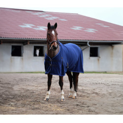 Chemise polaire Equithème Classic Bleu marine