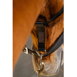 Licol nylon Equithème Domino Bordeaux