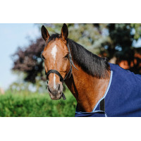 Chemise de présentation Riding World Bleu marine