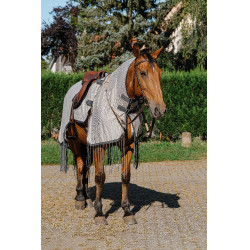 Chemise de travail Riding World anti-mouches Gris