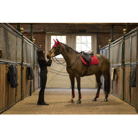 Guêtres avec protège-boulets Lami-Cell Elite Rouge Guêtres avec protège-boulets Lami-Cell Elite Rouge