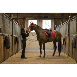 Guêtres avec protège-boulets Lami-Cell Elite Rouge