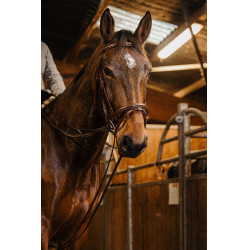 Rênes allemande sangle Norton Pro 13mm Havane Marron