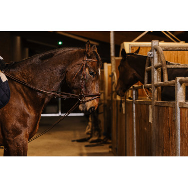 Rênes allemande sangle Norton Pro 13mm Havane Marron