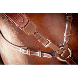Flèche de martingale Pénélope Bip Plain Elastique Noisette Marron