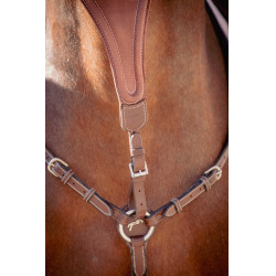 Flèche de martingale Pénélope Bip Plain Elastique Noisette Marron