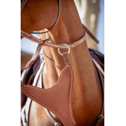Flèche de martingale Pénélope Bip Plain Elastique Noisette Marron