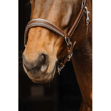 Licol cuir Norton Rock Havane Marron