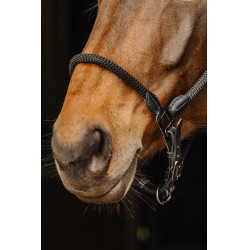 Licol cuir/corde Norton Noir Licol cuir/corde Norton Noir