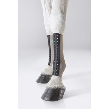 Equicrown Fit silver canon postérieur Equicrown Fit silver canon postérieur