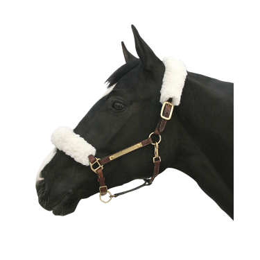 Ensemble garniture licol Back On Track Ensemble garniture licol Back On Track
