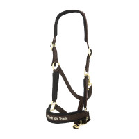 Licol Werano Back On Track Marron