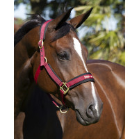 Licol Werano Back On Track Rouge