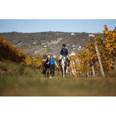 Sweat Equithème Hervé Bleu marine