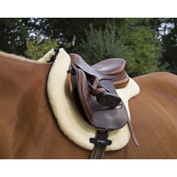 Tapis amortisseur Teddy Welltex Back On Track Tapis amortisseur Teddy Welltex Back On Track