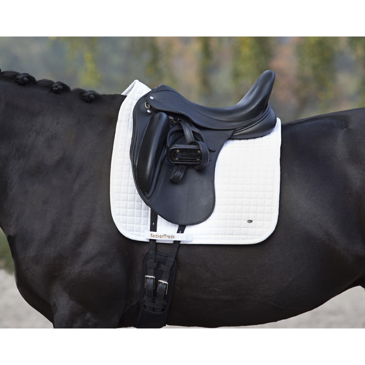Tapis No.Ⅰ Dressage Back On Track Tapis No.Ⅰ Dressage Back On Track