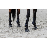 Protège-boulets Equithème