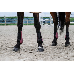 Protège-boulets Equithème Bordeaux