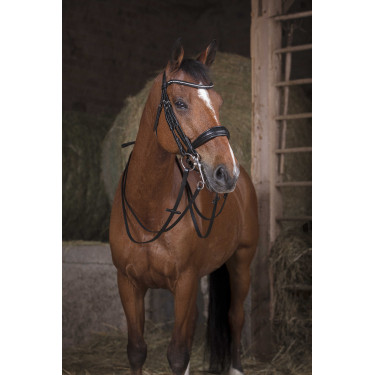 Rênes filet Norton 16 mm