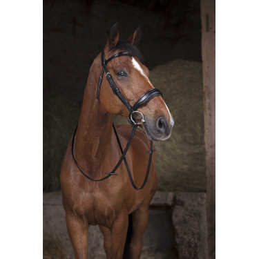 Rênes filet Norton 16 mm