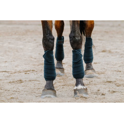 Bandes de polo Equithème par 4 Vert foncé