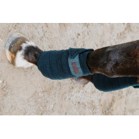 Bandes de polo Equithème par 4 Noir