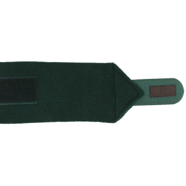 Bandes de polo Equithème par 4 Vert foncé