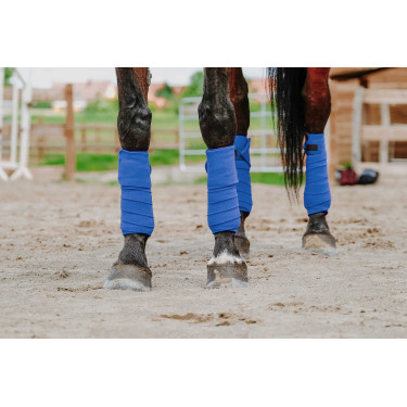 Bandes de polo Equithème par 4 Bleu roi
