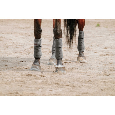 Bandes de polo Equithème par 4 Gris