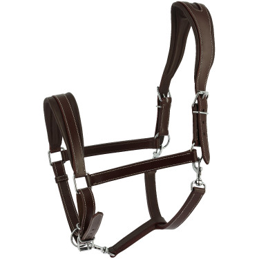 Licol Ardennais Norton Havane Marron Licol Ardennais Norton Havane Marron