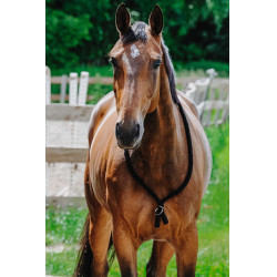 Cordelette Norton Noir