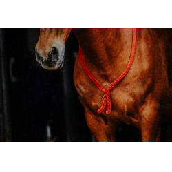 Cordelette Norton Rouge