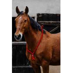 Cordelette Norton Rouge