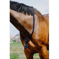 Cordelette Norton Bleu roi