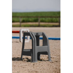 Montoir 2 marches Hippotonic